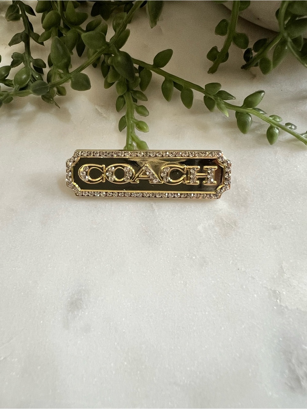 Coach Gold Logo Pin with Gemstones Border